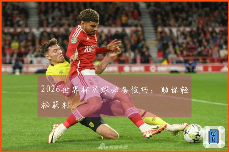 2026世界杯买球必备技巧，助你轻松获利