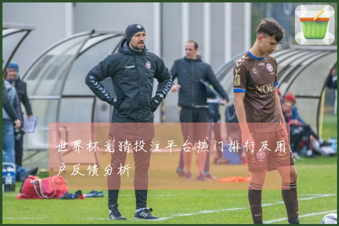 世界杯竞猜投注平台热门排行及用户反馈分析