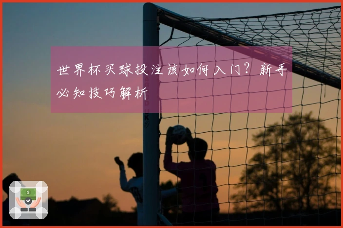 世界杯买球投注该如何入门？新手必知技巧解析