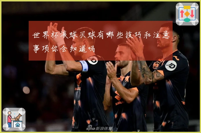 世界杯滚球买球有哪些技巧和注意事项你会知道吗