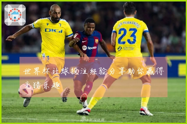 世界杯让球投注经验分享助你赢得竞猜乐趣