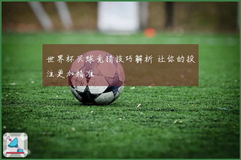 世界杯买球竞猜技巧解析 让你的投注更加精准