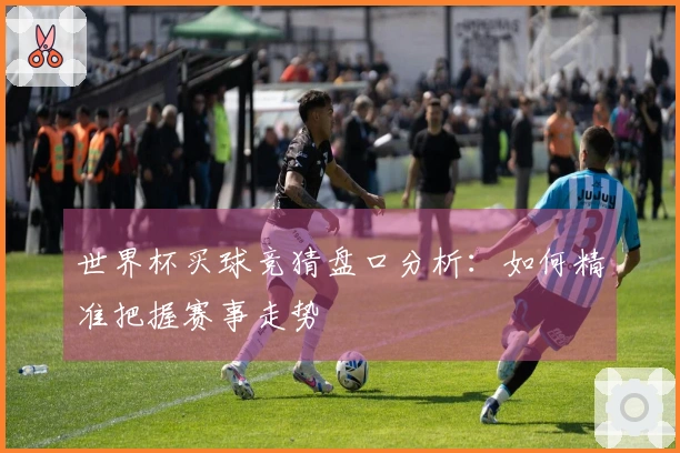 世界杯买球竞猜盘口分析：如何精准把握赛事走势