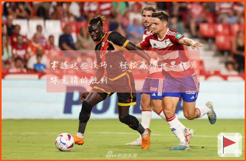 掌握这些技巧，轻松赢得世界杯买球竞猜的胜利